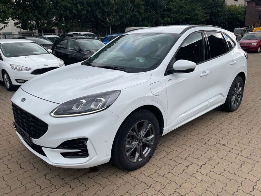 Kuga