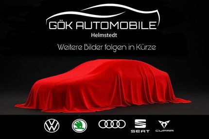 Seat Leon 162.000 km 17.490 € Helmstedt 38350