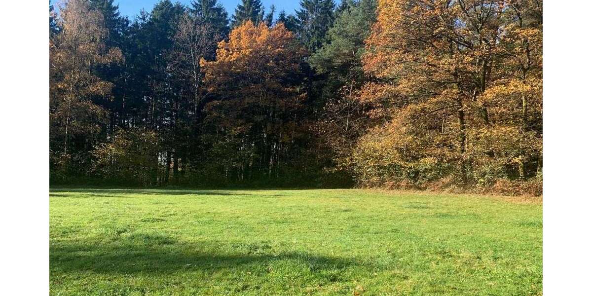 Grundstück Böbrach - 239.000&euro; | Angebot:26013467
