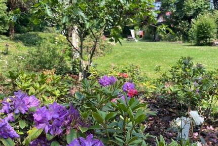 Wohnung Schöneck - 2.5 Zimmer, 45 m&sup2;, 850&euro; | Angebot:25129118