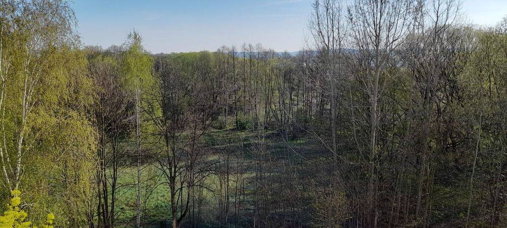 Etagenwohnung Annaberg-Buchholz Annaberg - 3 Zimmer, 35.000&euro; | Angebot:25683843