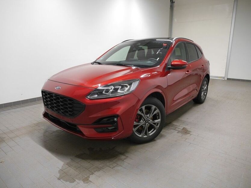Kuga