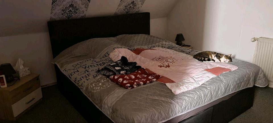 Einfamilienhaus Anklam - 3 Zimmer, 113 m&sup2;, 105.000&euro; | Angebot:25930857