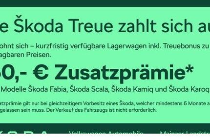 Skoda Kamiq 4.500 km 24.680 &euro; Frankfurt 60326