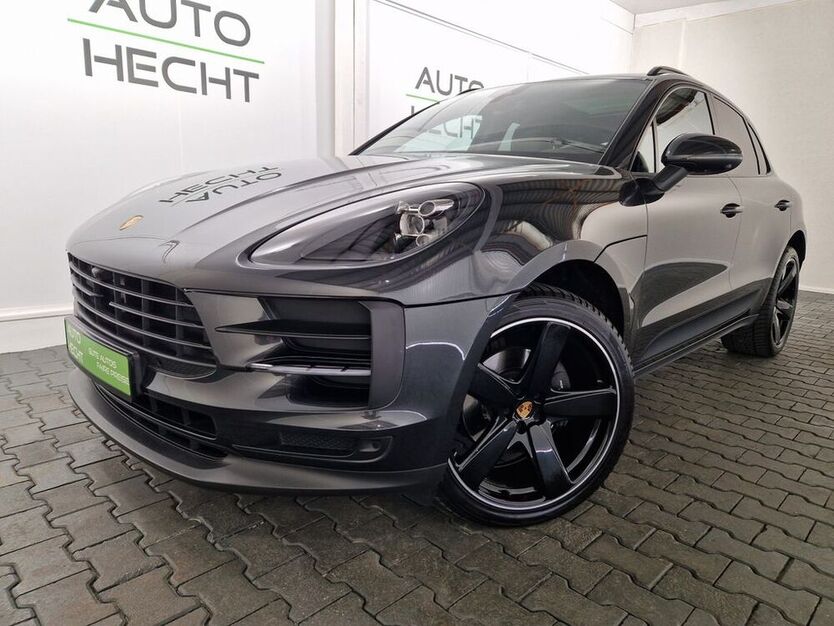 Macan