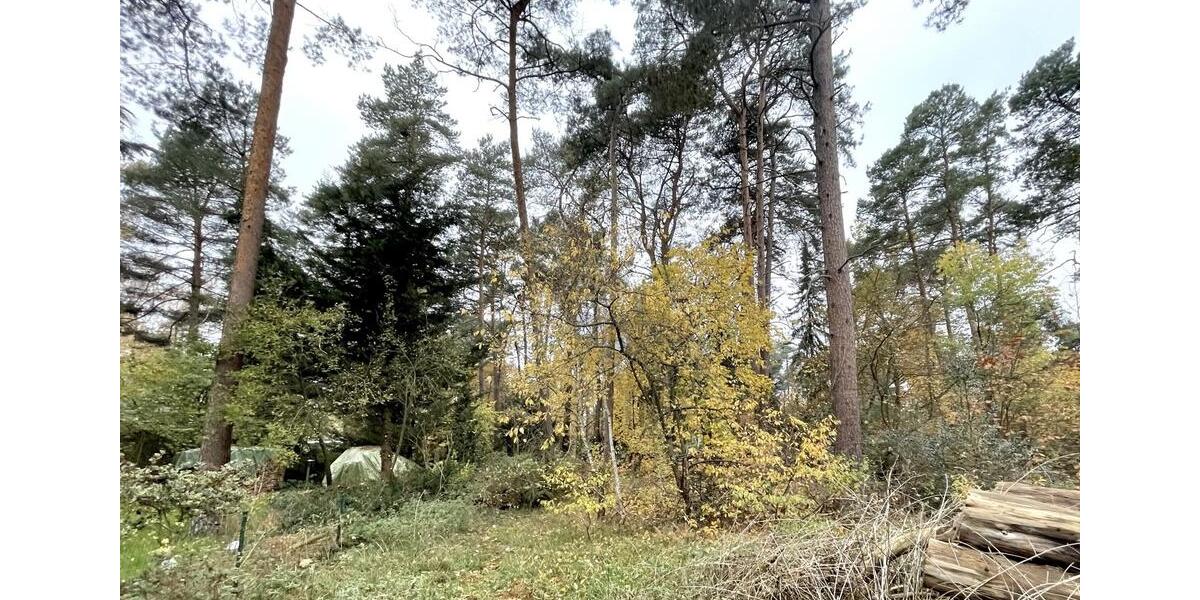 1.301 M² GRUNDSTÜCK IN BESTER LAGE VON GIFHORN – IDEAL FÜR IHR WOHNPROJEKT zimmer