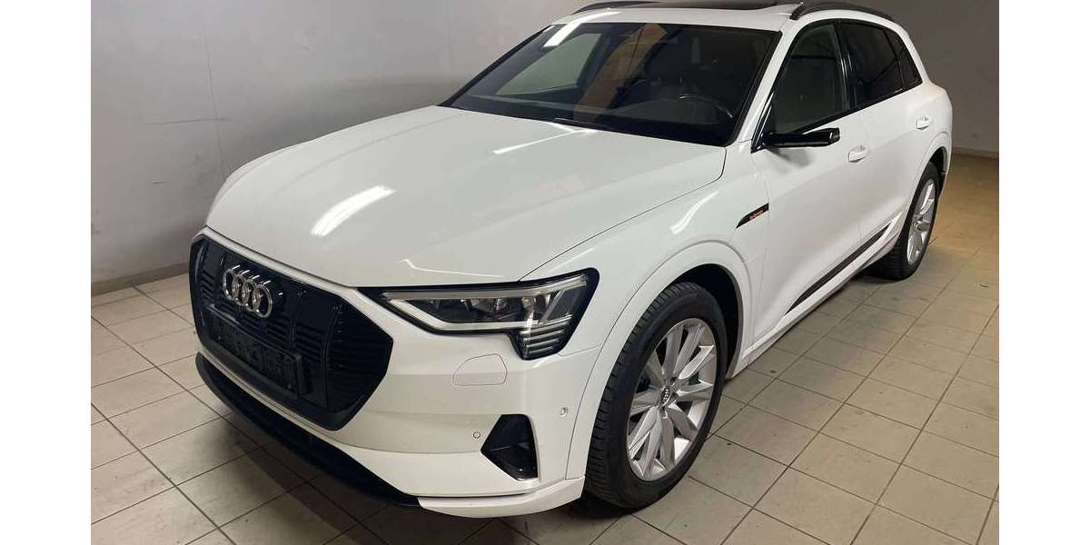 Audi e-tron 166.000 km 25.900 &euro; Lahr/Schwarzwald 77933