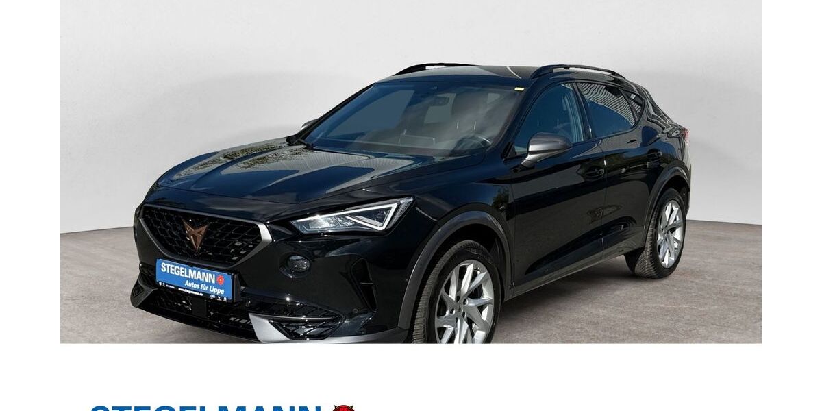 Cupra Formentor 20.181 km 33.990 &euro; Detmold 32756