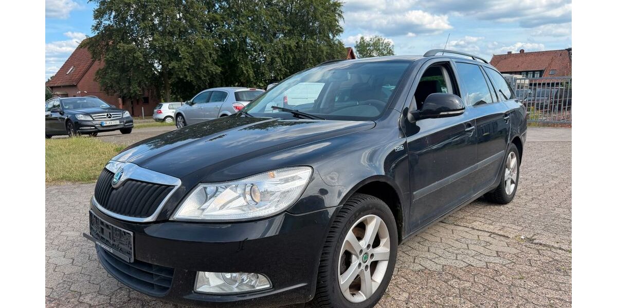 Skoda Octavia 260.000 km 2.490 &euro; Bad Fallingbostel (OT Dorfmark) 29683