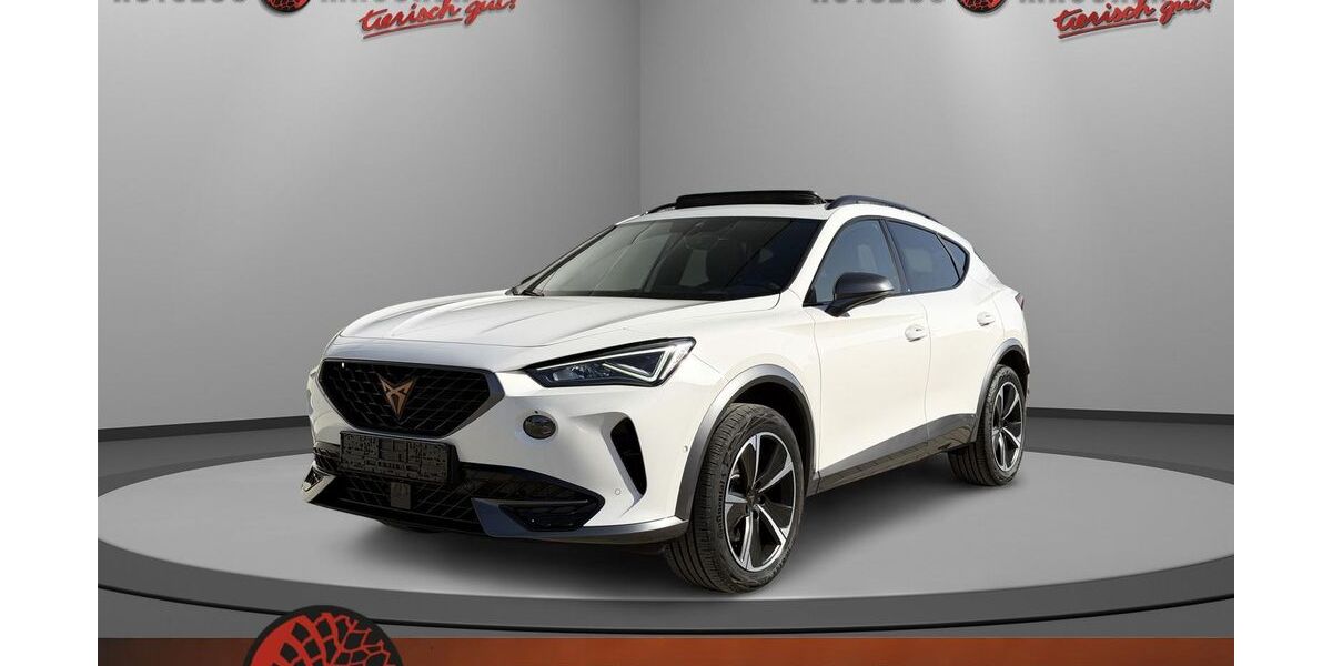 Cupra Formentor 37.207 km 25.990 &euro; Wilhelmsdorf 88271