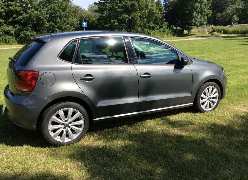 Polo