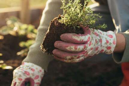 Grundstück Osnabrück-Voxtrup Voxtrup - 805.490&euro; | Angebot:20448429