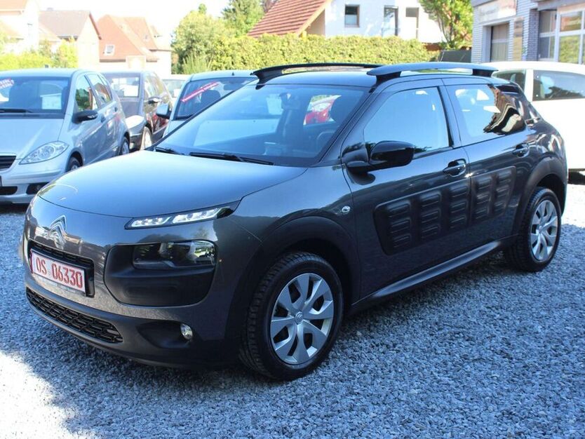 C4 Cactus