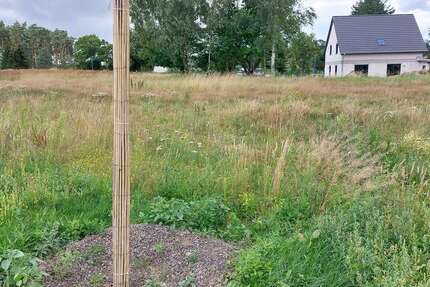 Grundstück zu verkaufen in Bergen OT Tilzow 132.900 € 790 m² zimmer