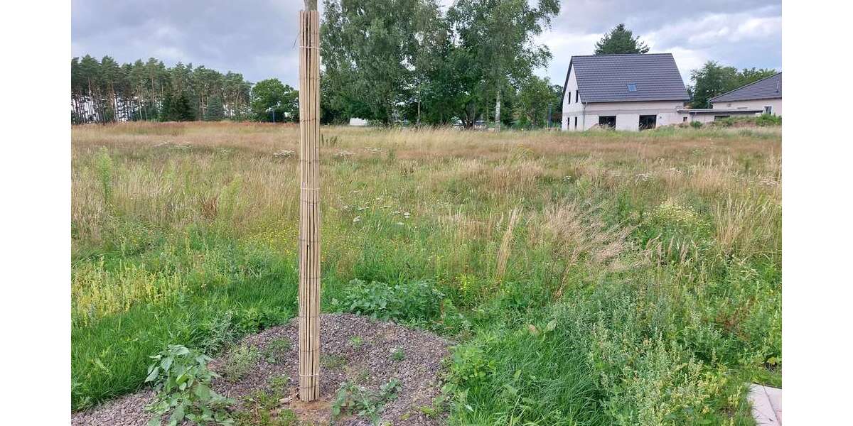 Grundstück zu verkaufen in Bergen OT Tilzow 132.900 € 790 m² zimmer