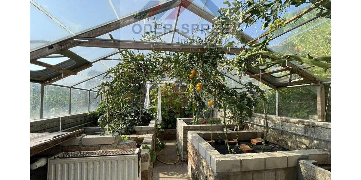 Einfamilienhaus Steinhöfel Falkenberg - 3 Zimmer, 114 m&sup2;, 380.000&euro; | Angebot:25661539