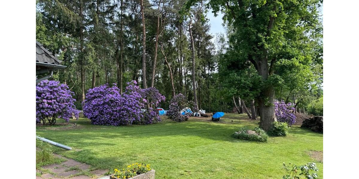 Einfamilienhaus Jesteburg - 6 Zimmer, 270 m&sup2;, 649.000&euro; | Angebot:26680656