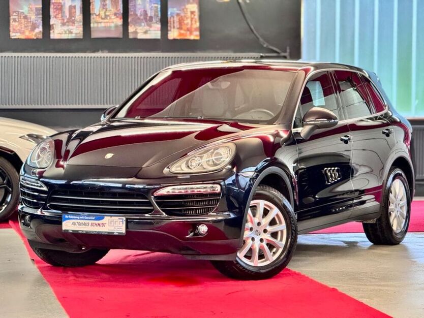Cayenne