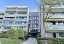 Wohnung zum Kaufen in Wiesbaden Sonnenberg 179.000 € 46 m²