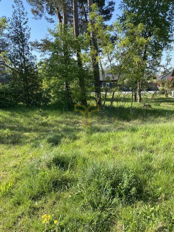 Grundstück zu verkaufen in StüdeSassenburg 41.000 € 410 m² zimmer