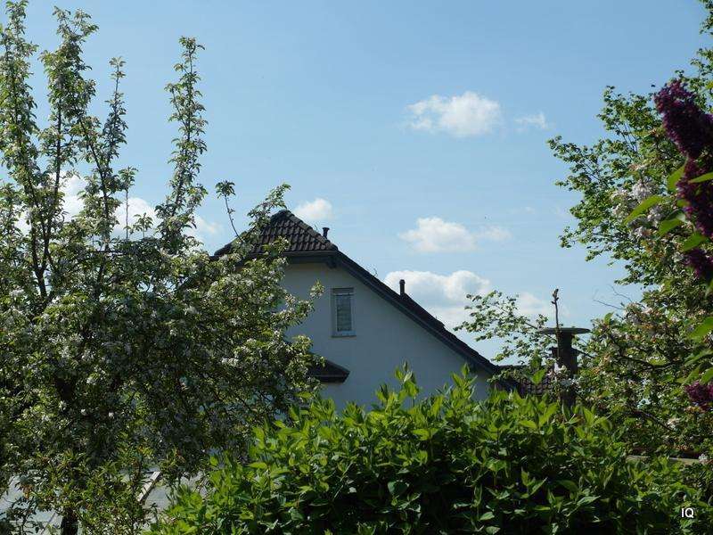 Haus zum Kaufen in Torgau 380.000 € 250 m²
