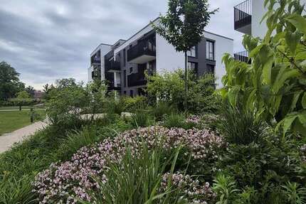 Wohnung Achern - 2 Zimmer, 91 m&sup2;, 1.220&euro; | Angebot:24723956