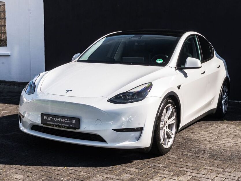 Model Y