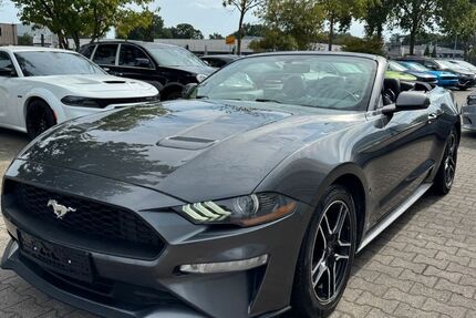 Ford Mustang 95.000 km 24.499 &euro; Schüttorf 48465