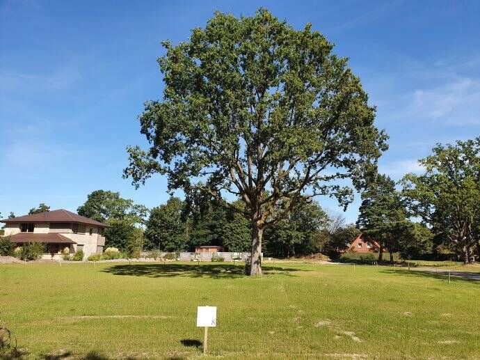 Grundstück Wildeshausen Stadtfelde - 633.600&euro; | Angebot:25820084