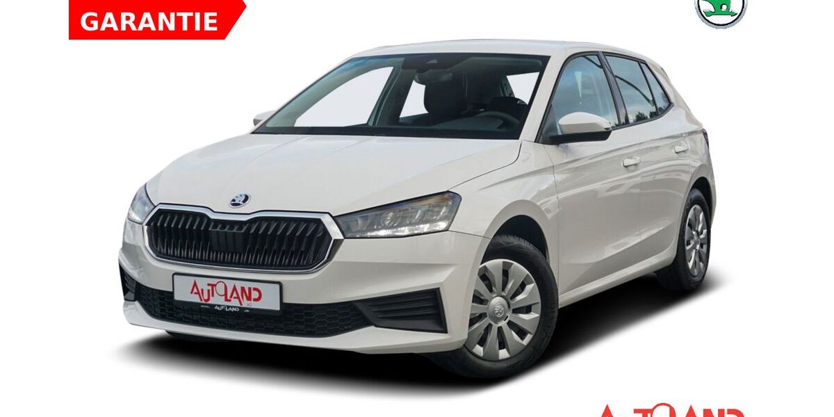 Skoda Fabia 6.295 km 17.950 &euro; Schwerin 19061