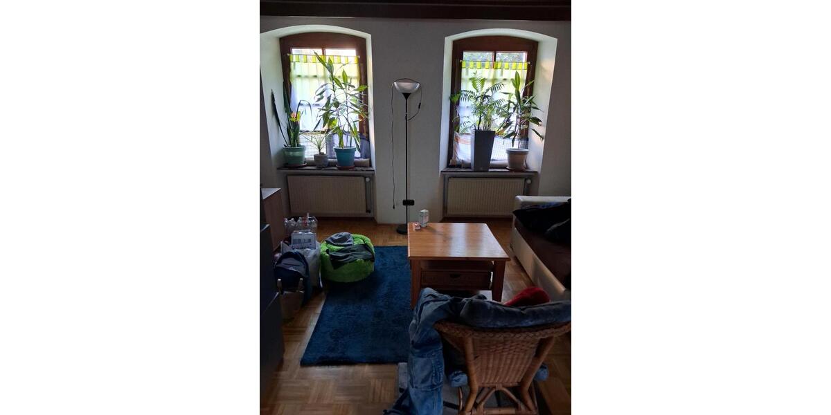 Mietwohnung zur Vermietung 1 zimmer