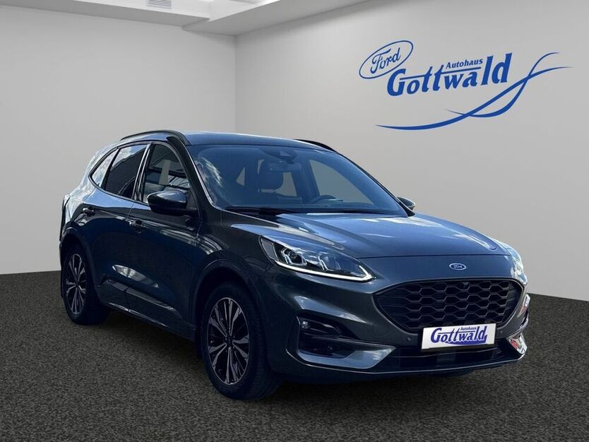 Kuga