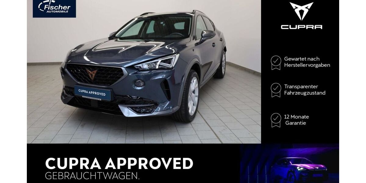 Cupra Formentor 55.681 km 22.890 &euro; Amberg 92224