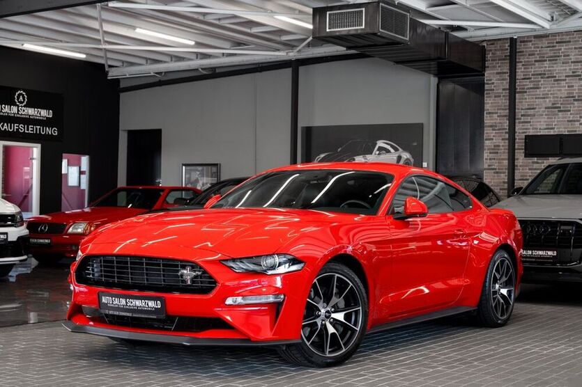 Mustang