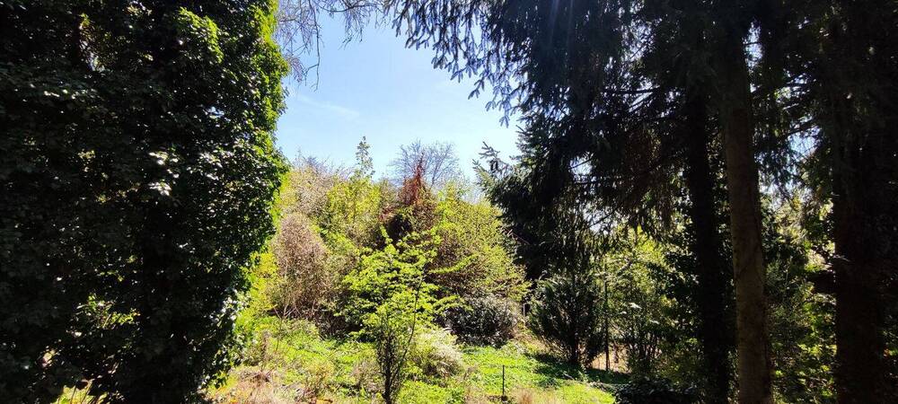 Grundstück Reichenschwand Leuzenberg - 185.000&euro; | Angebot:26387911