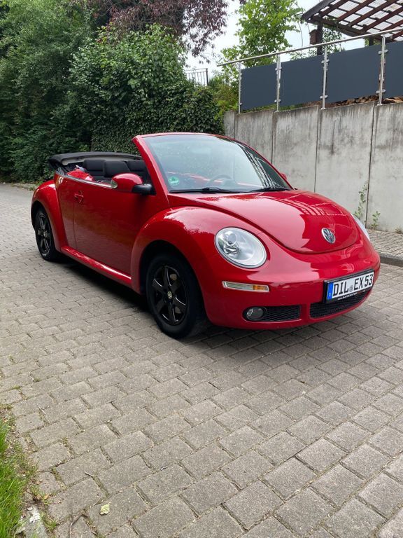 Beetle