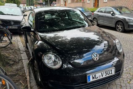 VW Beetle