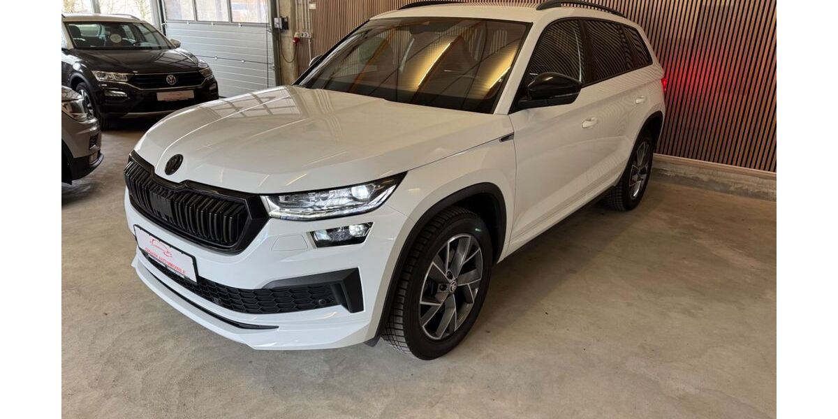 Skoda Kodiaq 161.484 km 27.999 &euro; Horhausen 56593