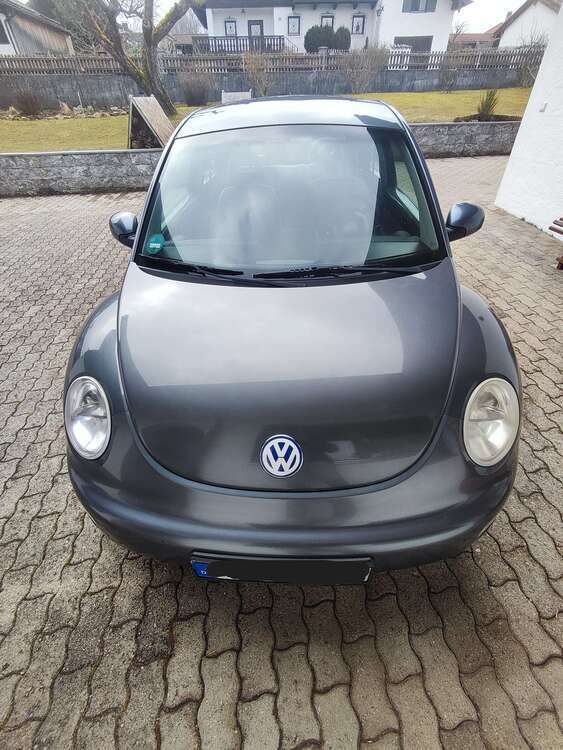 New Beetle