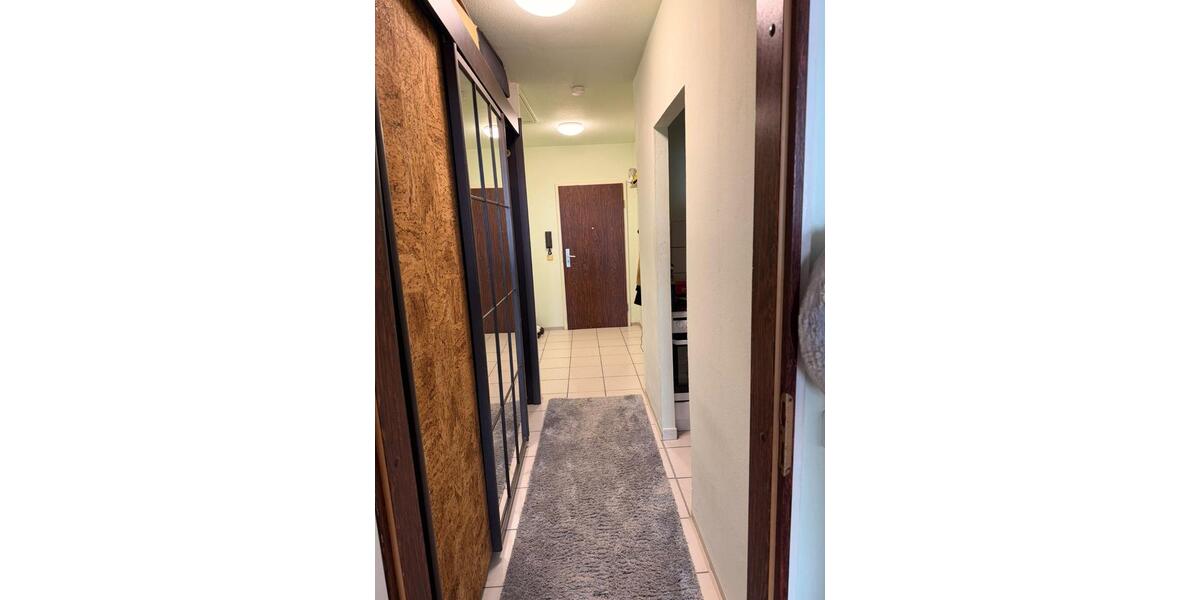 1 Zimmer-Wohnung 1 zimmer