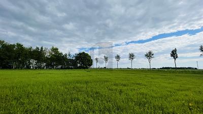 LEBEN IN DER NATUR AN DER NORDSEEKÜSTE - Grundstück Wesselburenerkoog | Angebot:25278697