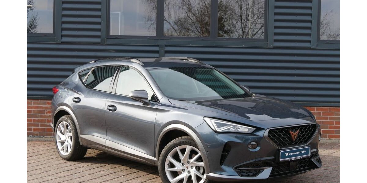 Cupra Formentor 76.490 km 24.990 &euro; Schneeberg 08289