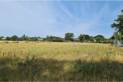 Grundstück Bersteland OT Freiwalde Freiwalde - 69.990&euro; | Angebot:27127694