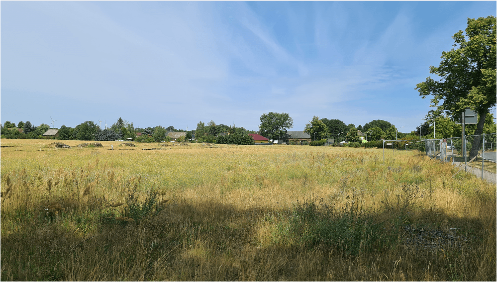 Grundstück Bersteland OT Freiwalde Freiwalde - 69.990&euro; | Angebot:27127694