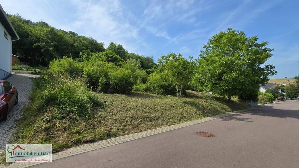 13 AR BAUGRUNDSTÜCK IN GRENZNÄHE LUXEMBURG