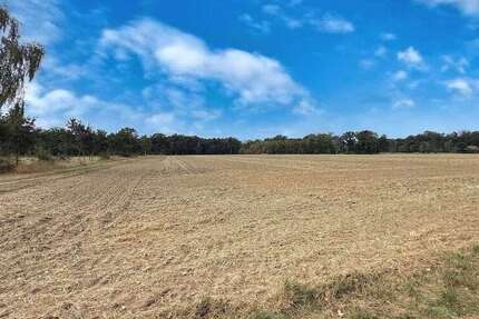Grundstück Neustadt - 457.000&euro; | Angebot:26435956