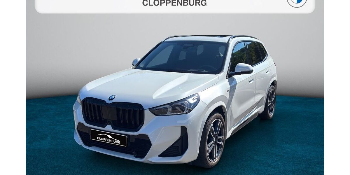 BMW X1 78.860 km 36.665 &euro; Bad Kreuznach 55543