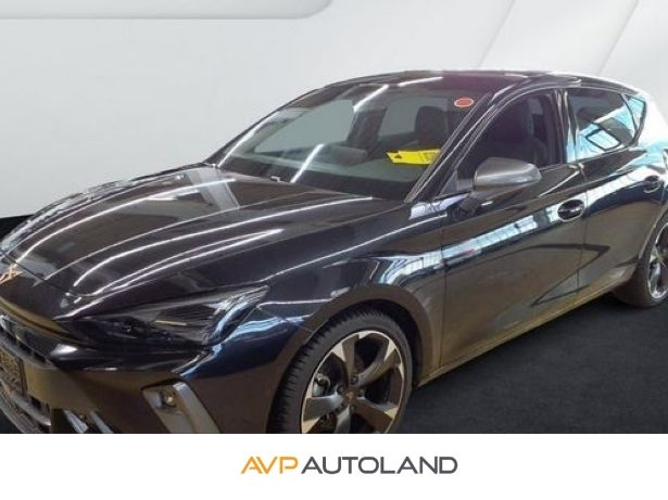 Cupra Leon 27.004 km 29.470 &euro; Regen 94209