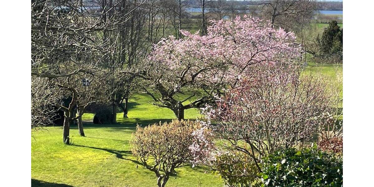 Grundstück Schellhorn - 995.000&euro; | Angebot:22498667