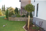 Architektenhaus in Feldrandlage mit ca. 350m² Wohnfl. und ca. 802m² Grundst.! - Einfamilienhaus Büttelborn | Angebot:26644562